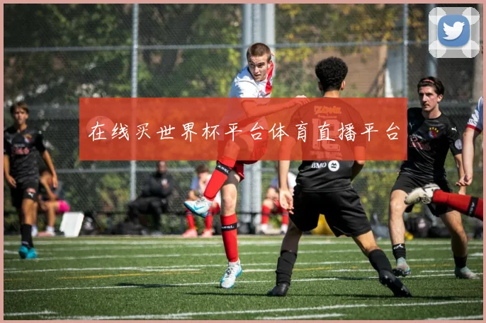 在线买世界杯平台体育直播平台