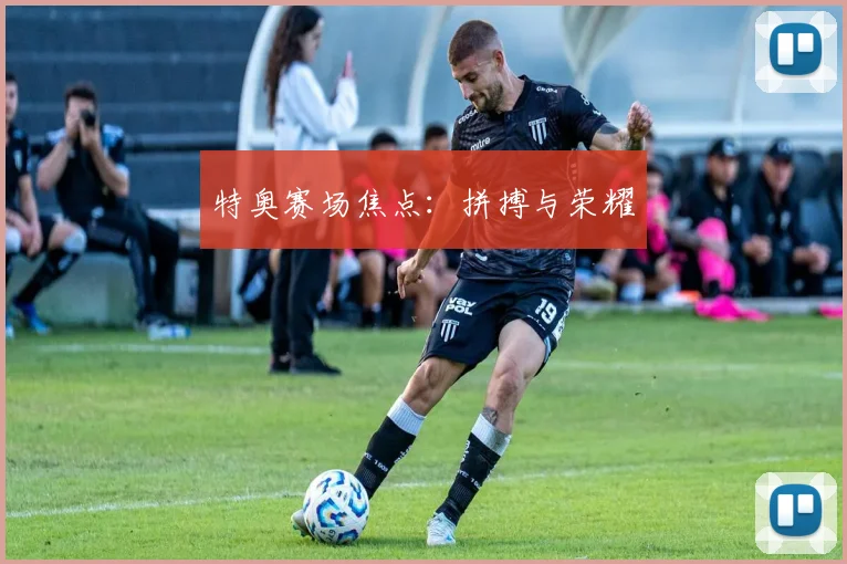 特奥赛场焦点：拼搏与荣耀
