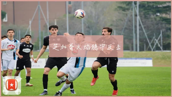 芝加哥火焰稳守反击