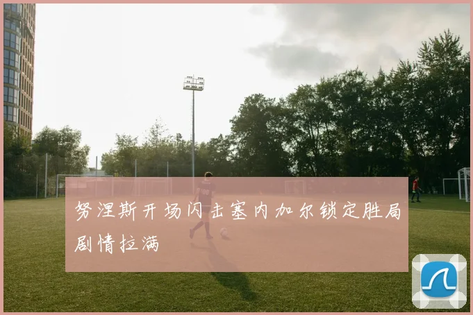 努涅斯开场闪击塞内加尔锁定胜局剧情拉满