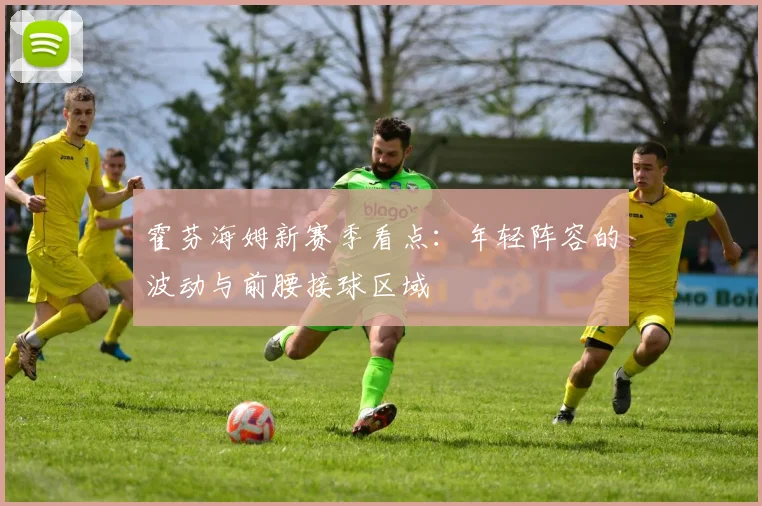 霍芬海姆新赛季看点:年轻阵容的波动与前腰接球区域