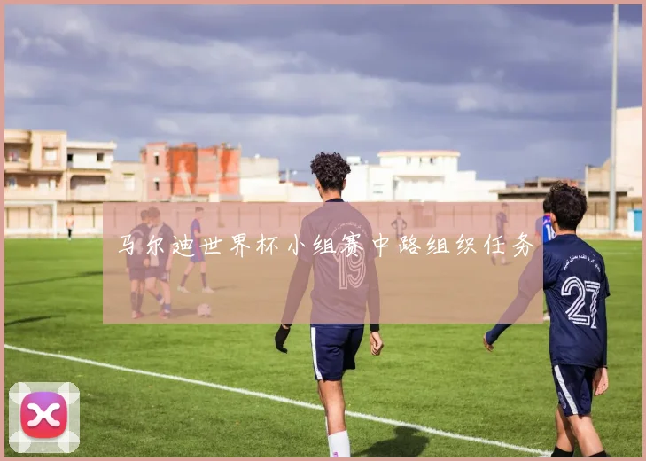 马尔迪世界杯小组赛中路组织任务
