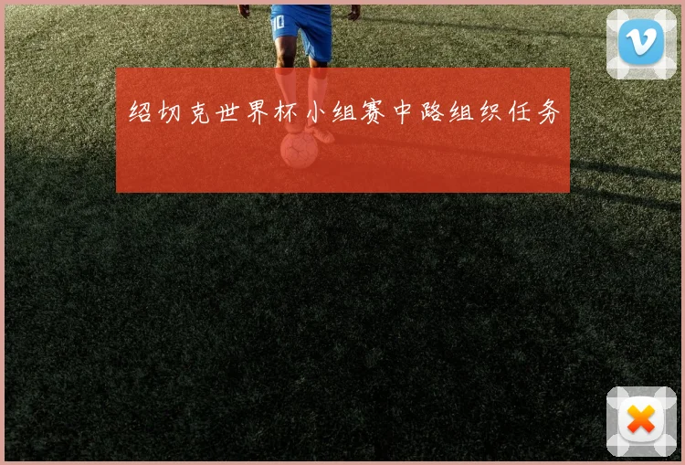 绍切克世界杯小组赛中路组织任务