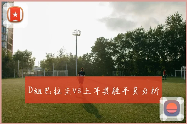 D组巴拉圭vs土耳其胜平负分析