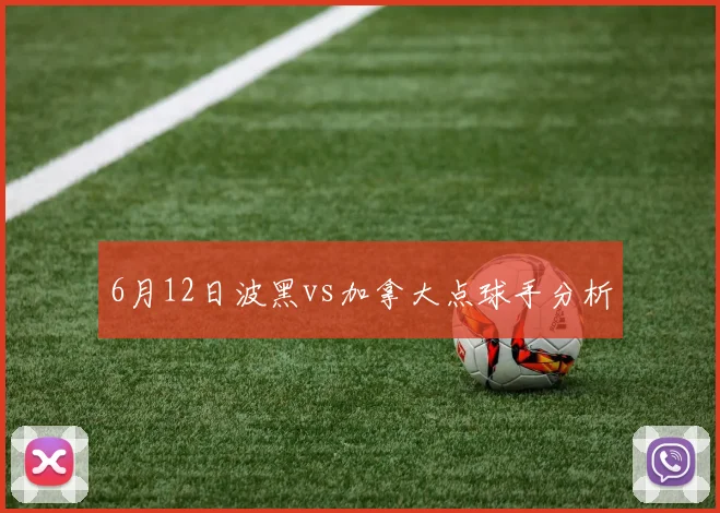 6月12日波黑vs加拿大点球手分析